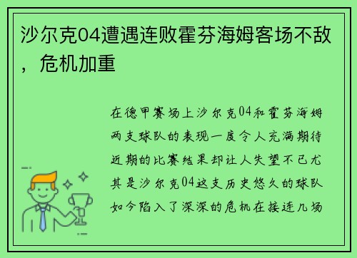 沙尔克04遭遇连败霍芬海姆客场不敌，危机加重